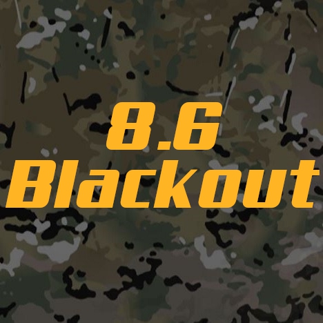 8.6 Blackout